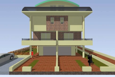P65 (2)