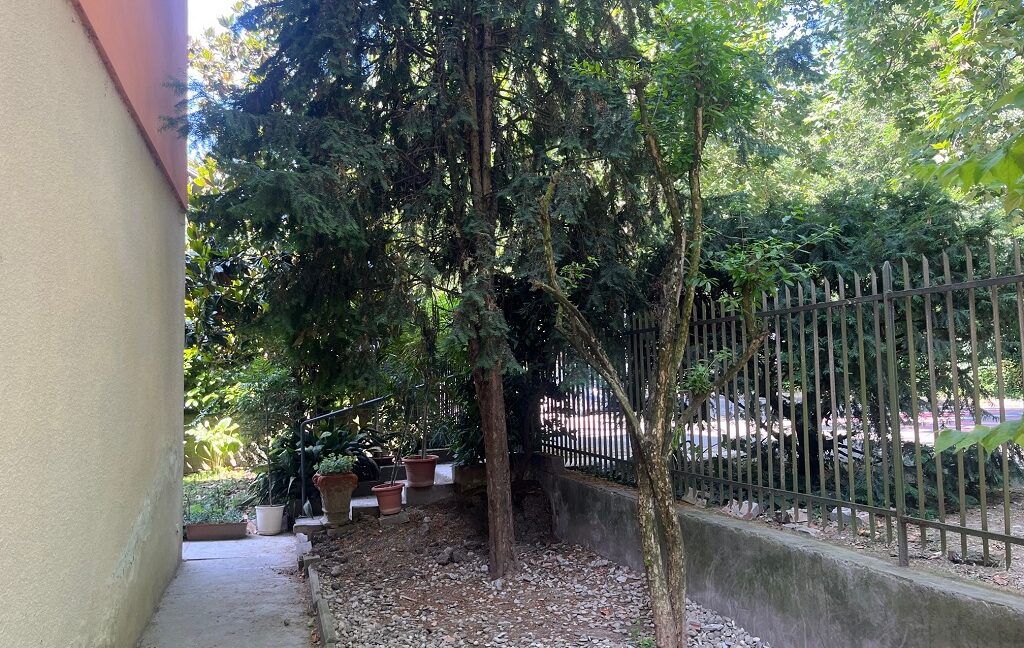 V8 (32)