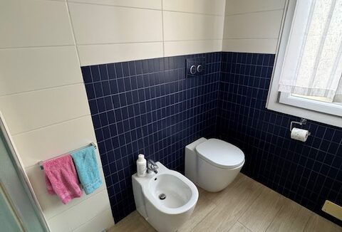 A17 (30)